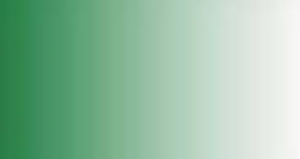 Colore LifeColor TSC204 Grass