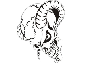 Disegno aerografo teschi/skull B012