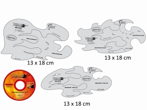 ARTOOL FH TF 1 MS True Fire Mini Series Set (6 pcs +DVD) Freehand Airbrush Templates by Craig Fraser