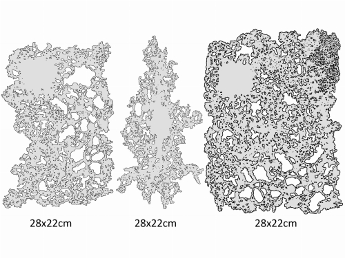 2217819f563efd675b44e3c671bd631b