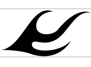 Disegno aerografo fiamme/flames C028