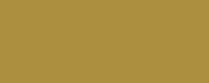 Colore LifeColor UA419 Olive Grab light mustard