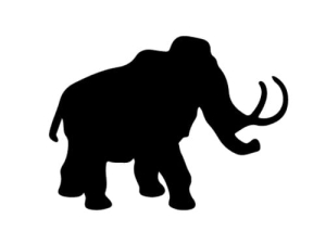 Disegno per glitter tattoo Fengda 21-08