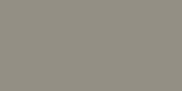 Colore LifeColor UA779 Wooden Grey Umber