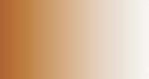 Colore LifeColor TSC211 Burnt Brown