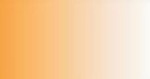 Colore LifeColor TSC206 Rust 2