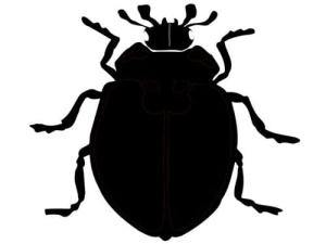 Disegno di tatuaggio aerografo V038