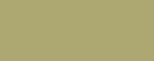 Colore LifeColor UA223 Olive Drab faded type1