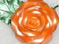 Colore AmeriColor ORANGE SHEEN 19ml