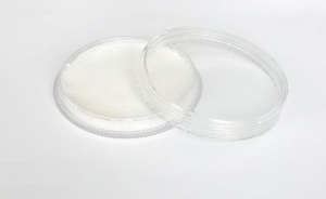 Colore per disegnare sul corpo e viso Fengda body painting white 30 g