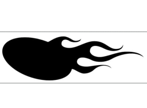 Disegno aerografo fiamme/flames C003