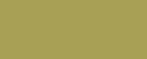 Colore LifeColor UA427 Olive Drab green tone